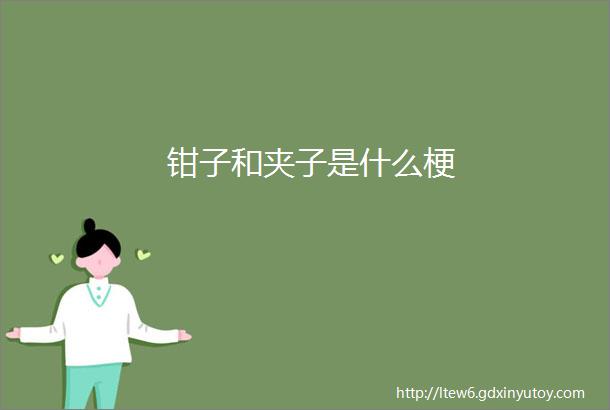 钳子和夹子是什么梗